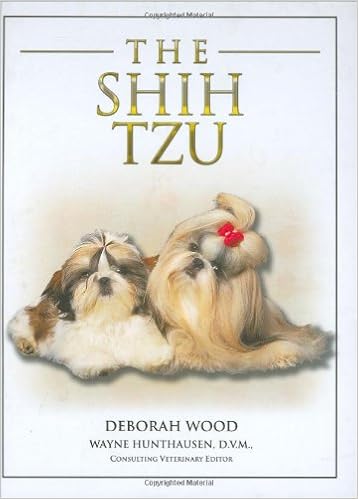 The Shih Tzu �n�[�h�J�o�[  - 2007/6/12