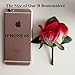 Set of 4 Rose Boutonniere With Pin For Men Wedding Prom Party Corsage Silk Flower For Groom,Best Man,father