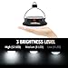 2 PACK TOMSHOO Solar Camping Light Lanterns Tent Campsite Hanging Lamp 200LM 12LED 3 Mode Solar Power USB Charging Phone Charger with Rechargeable Battery Outdoor Indoor