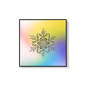 Framed Canvas Wall Art for Living Room, Bedroom Snowflake Theme Canvas Prints for Home Decoration Ready to Hang - 16x16 inches