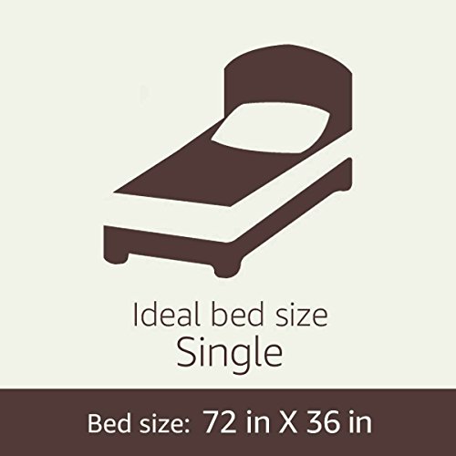 Amazon Basics 5Piece Lightweight Microfiber BedInABag Comforter