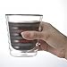 Hario V60 Coffee Glass, 15oz, Clear