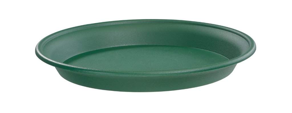 Stewart 2139019 30 cm Multi-Purpose Saucer - Green