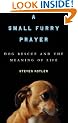 A Small Furry Prayer