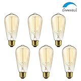 SHINE HAI Vintage Edison Bulbs 60W, Antique Style ST58 Squirrel Cage Filament, 300 Lumens, Dimmable Teardrop Design, E26 Medium Base 2300K, Pack of 6