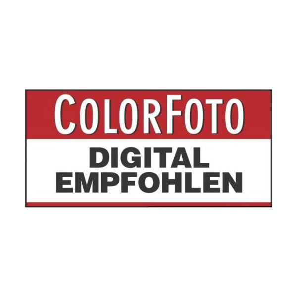 Sigma AF 100-300mm 4,0 APO EX DG Objektiv für Nikon – Bild 5