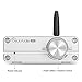 Douk Audio G5 100W Bluetooth 5.0 2 Channel Amplifier Mini Digital Class D Stereo Audio Power Amp Wireless Receiver (Silver)thumb 2