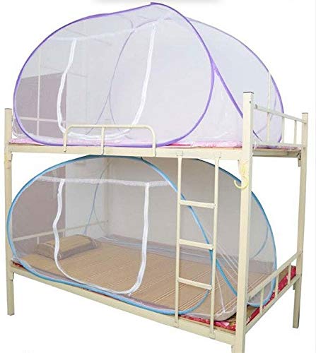 pink and purple bunk beds