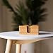 Kuratere Bamboo Coasters 6 Pack with Holder â€“ Eco-Friendly 100% Natural Bamboo Wood Coaster for Drinks â€“ Stylish Furniture Protection