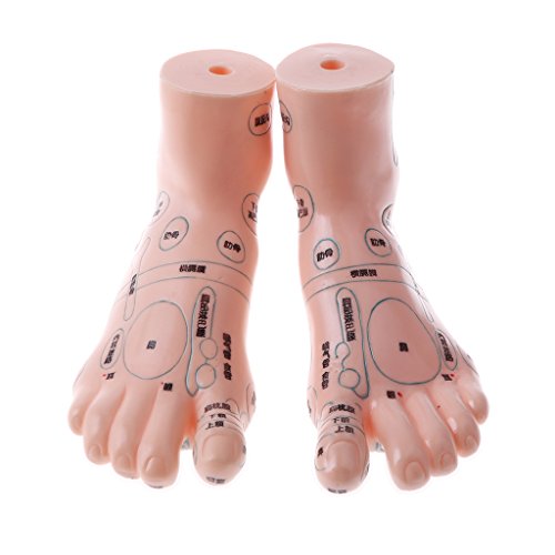 image for Fityle Pair of Human Feet Acupoint Model for Reflexology & Acupuncture