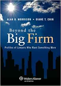 Beyond The Big Firm Profiles Of Lawyers Who Want Something More Introduction To Law Series