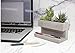 Kikkerland Concrete Desktop Planter, Large (PL02-L)
