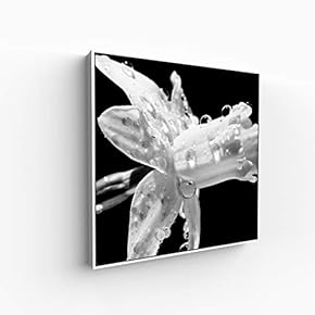 Canvas Wall Art for Living Room, Bedroom Monochrome Image Framed Canvas Prints for Home Decoration Ready to Hang - 16x16 inches