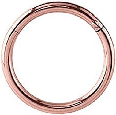 Hinged Segment Ring,Seamless,Endless Septum Ring,Tragus Piercing Jewelry,Helix,Cartilage,Scaffold,Upper Ear,Segment Ring,Lip Ring,Nipple Ring,Endless Hoop Earring