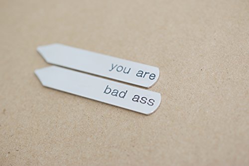 You are bad ass Collar Stays