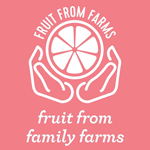 5 Spindrift+Sparkling+Grapefruit+Flavored+Squeezed