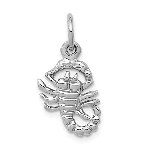 10k White Gold Scorpion Pendant Charm Necklace Zodiac Insect Arachnid Fine Jewelry For Women Gifts For Her