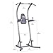 Body Champ Fitness Multifunction Power Tower/Multi station for Home Office Gym Dip Stands Pull Up VKR/Space Saving PT620