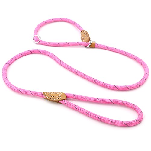 Grand LineSlip Lead Dog Leash, 5FT Reflective Slip Rope, Puppy Training Walking Controlling Lead, Slip Collar Pet Leash for Small, Medium, Large Dogs (Pink, Medium-2/5in x 5ft)