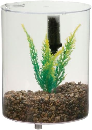 LeeS Round Betta Kit W Lid Plant And Undergravel Filter