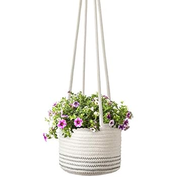 https://images-na.ssl-images-amazon.com/images/I/41P64BNjo%2BL._SL500_AC_SS350_.jpg