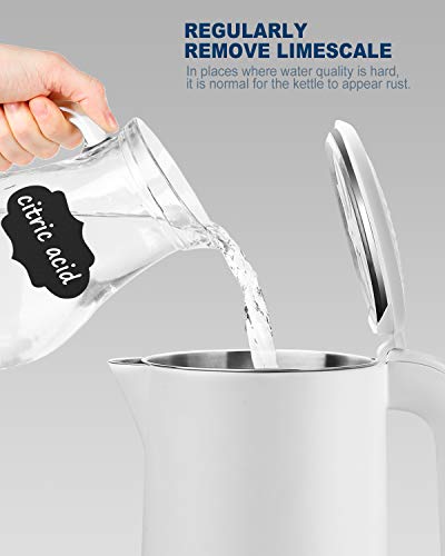 5 Electric+Kettle+Double+Stainless+Control