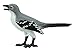 Safari S150329 Wings of The World Mockingbird Miniature