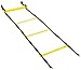 Amazon Basics Nylon Agility Workout Training Ladder - 15 Feet, Yellow and Black