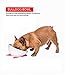 YMAXGO CeramicsTilted Single Food Feeding Bowl for French Bulldogs/Cats, Double Non-Slip Design (White)