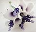 Lily Garden Mini 15