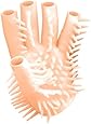 Nasswalk Masturbating Glove Waterproof, Flesh