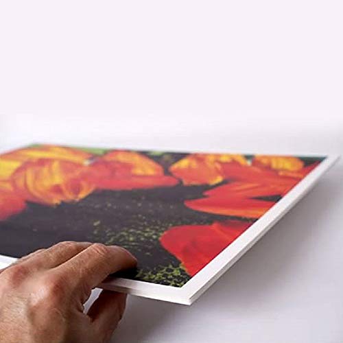 Bulk Buy B16 Pres-On Mounting Board, 16 by 20, (6 Pack)