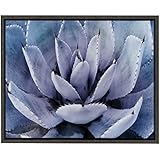 Kate y Laurel Sylvie Violet Cactus enmarcado en lienzo de Amy Peterson, 24 x 18, gris