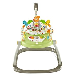 Fisher-Price Woodland Friends SpaceSaver Jumperoo [Amazon Exclusive]