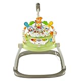 Fisher-Price Woodland Friends Space Saver Jumperoo