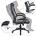 Furmax High Back Office Gaming Chair Computer Desk Chair,Ergonomic Adjustable Racing Chair,Task Swivel Executive Chair with Lumbar Support (Gray)