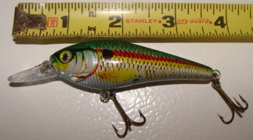 5-L5BS-Custom-Shad-Lures-Plugs-Crankbaits-Bass-Fishing-Set 5-L5BS-Custom-Shad-Lures-Plugs-Crankbaits-Bass-Fishing-Set