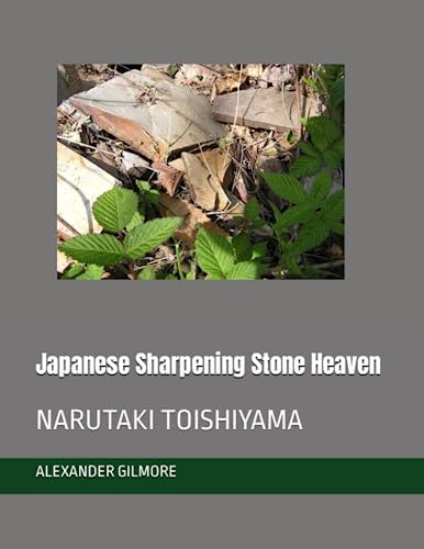 Amazon.com: ガブリエル・フォーレと詩人たち: 9784938661663: Reiko 