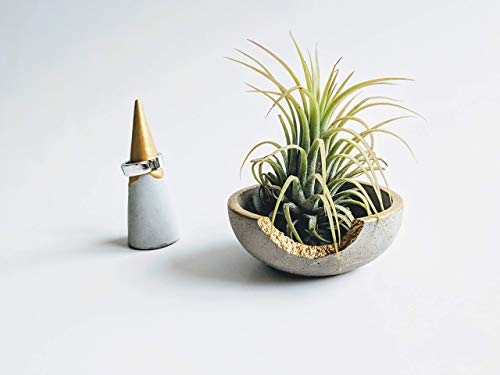Gold Rim Small Decorative Cement Concrete Bowl for Ring and Jewelry Storage, 3 inch