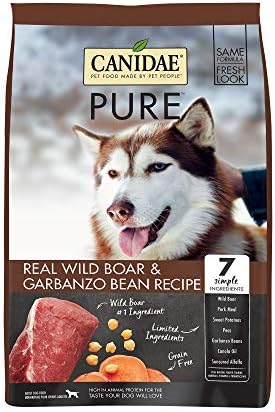 rodent proof dog feeder