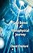 Soul Bared: A Metaphysical Journey by David L Oakford