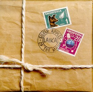 Laika - If You Miss Lyrics - Zortam Music