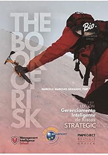Livro Gerenciamento Inteligente de Riscos - The Book of Risk | Strategic