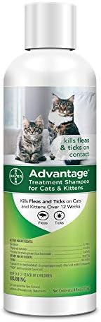 flea shampoo for kittens under 12 weeks