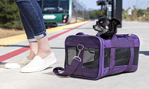 2 Sherpa+Original+Airline+Approved+Carrier