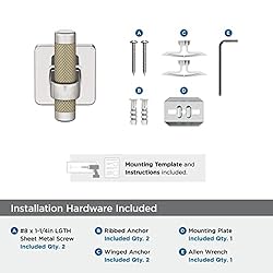 Amerock BH36563PNBBZ | Polished Nickel/Golden