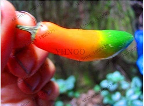 HANO Seeds Package: Lowest Pr! Fresh Rare Red Reaper Pepper Bonsai (hot Chilli) Organic Vegetable Seeds -200 Pieces Fre : Yellow