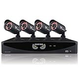 Night Owl Security F6-81-4624N 8 Channel Video System with 4x650 TVL Bullet Cameras (Black)