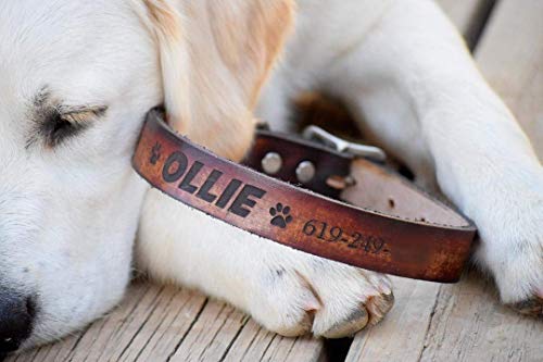 Dog Collar Personalized Dog Collar - Laser Engraved Dog Collar - Leather Dog Collar - Personalized Leather Dog Collar - Name Dog Collar