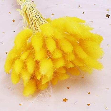 Amazon Cenpen ドライフラワー 花材セット カラフルなウサギの尾の草ドライフラワー花束自然ホタルイドライフラワーのススキ花束 結婚式の家の装飾の偽の花 手芸クラフト ハーバリウム花材 Color Yellow ドライフラワー オンライン通販